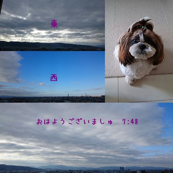 c0363378_17503936.jpg