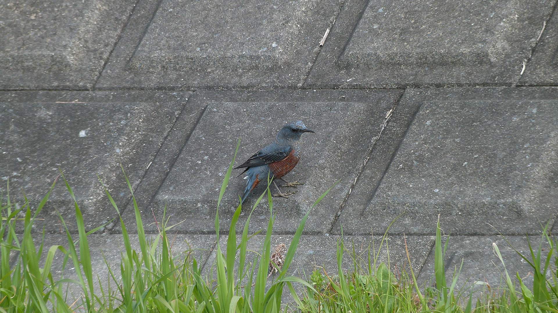 a0185081_1453824.jpg
