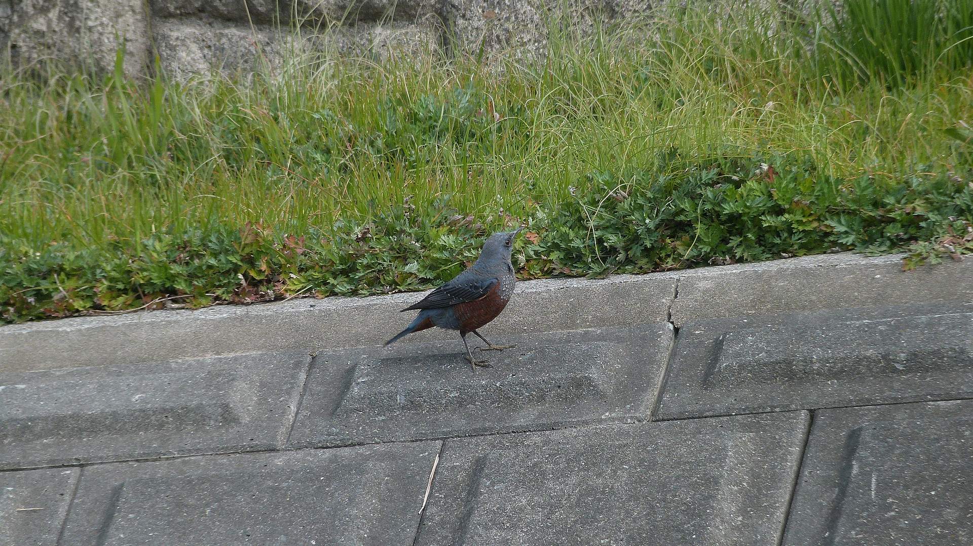 a0185081_1454772.jpg