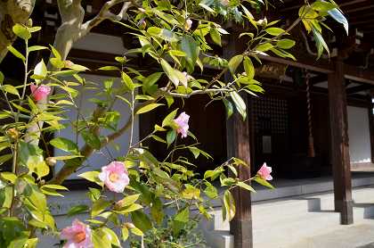 c0229483_23363611.jpg