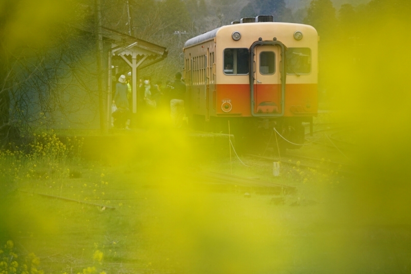 d0341483_02573511.jpg