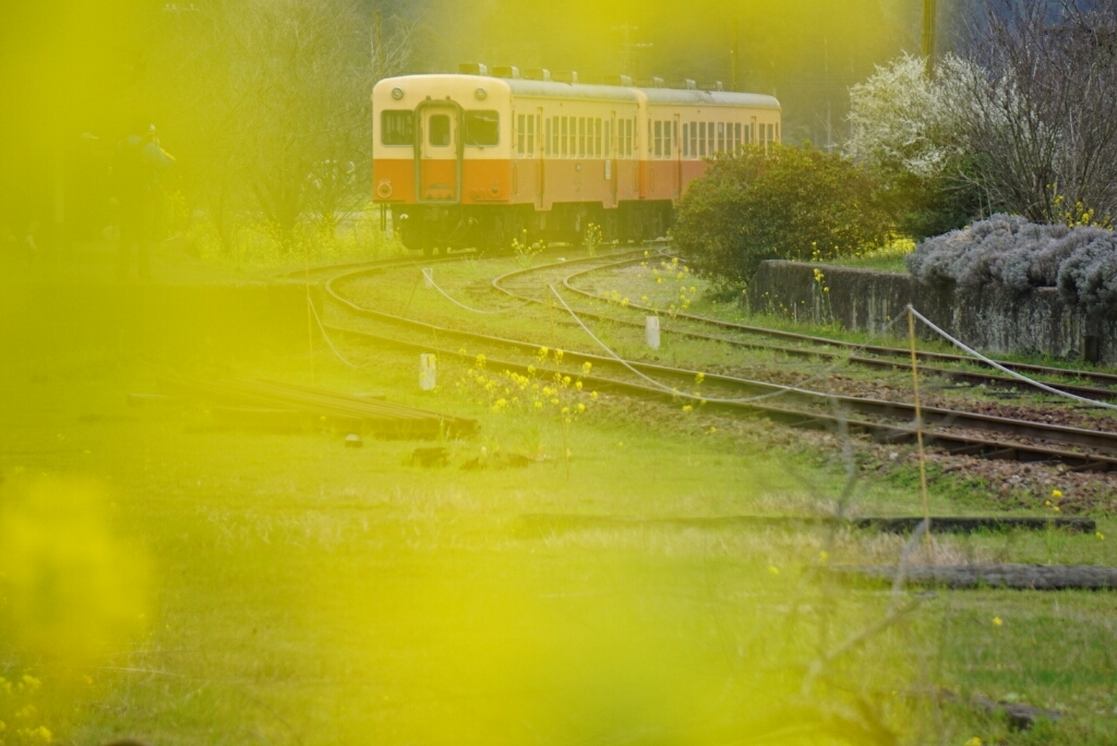 d0341483_02573734.jpg