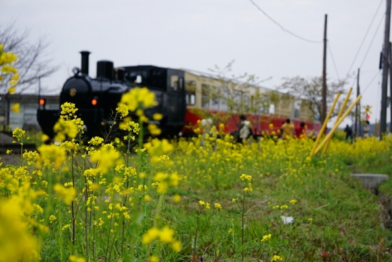 d0341483_02573886.jpg