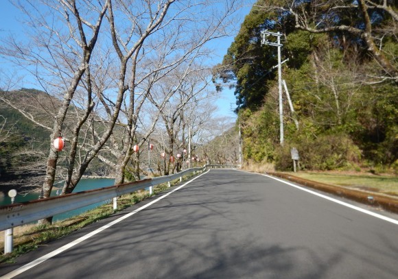 南紀は山桜が満開ツーリング_b0209484_13295594.jpg