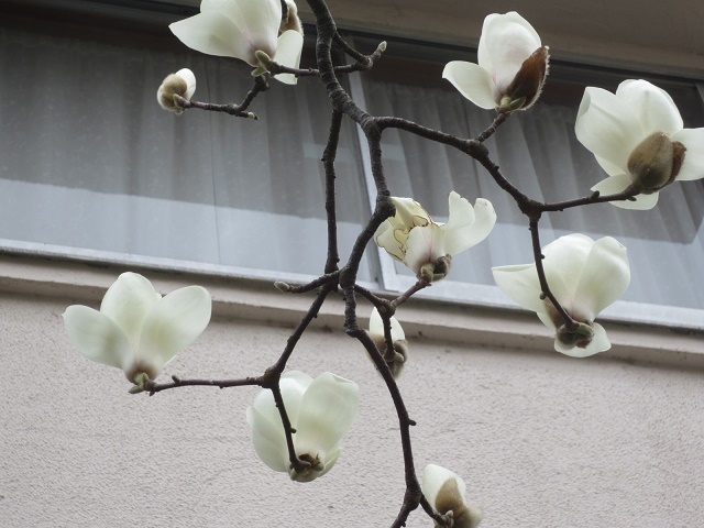 b0336384_00225546.jpg