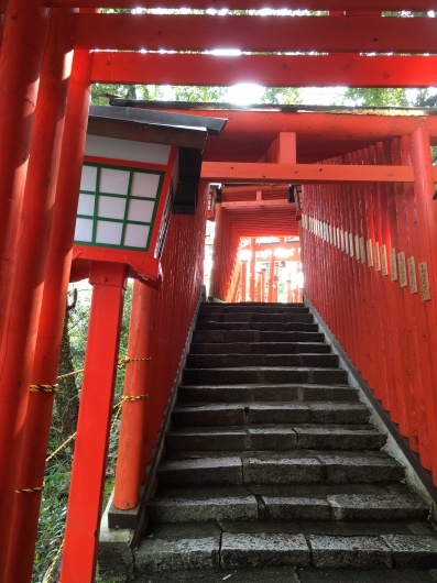 b0336787_00585799.jpeg
