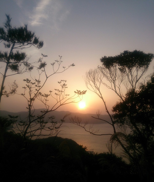 e0220493_1542850.jpg