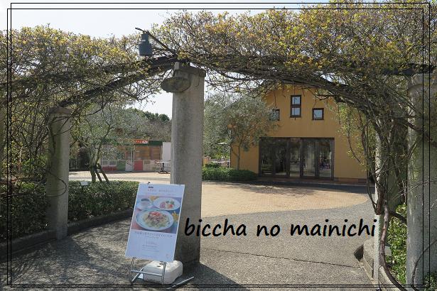 イタリアンレストラン 麦 なばなの里 びっちゃのおいしい日記 休職はじめました イタリアンレストラン 麦 なばなの里 びっちゃのおいしい日記 休職はじめました