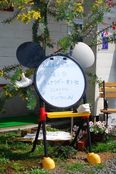 ３月20日、熊本のドッグサロンNさんでシュナのオフ会がありました〜♪_b0188998_01124442.jpg