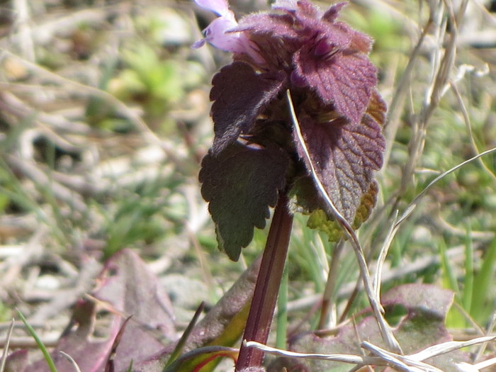 e0271803_0423725.jpg