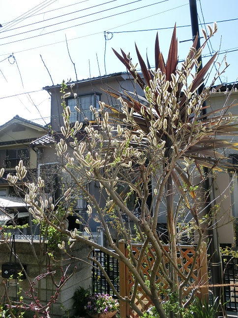 e0234004_202768.jpg