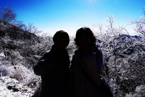 a0140305_00391482.jpg