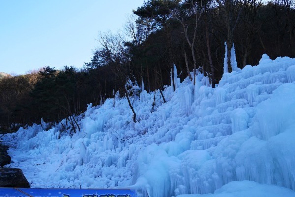 2016年アルムダウン大邱　⑰シティツアーバス　ピスル山コース　その３_a0140305_00413789.jpg