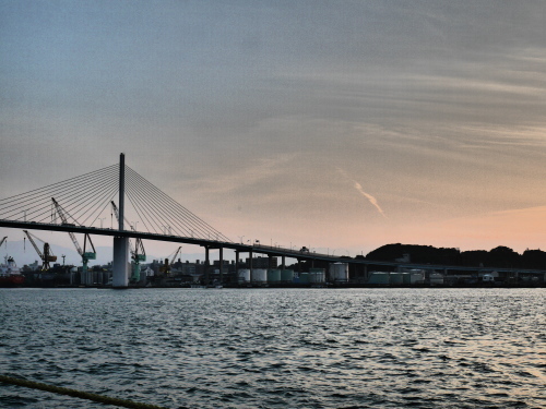 a0315918_20424242.jpg