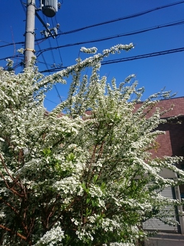 a0039320_09532543.jpg