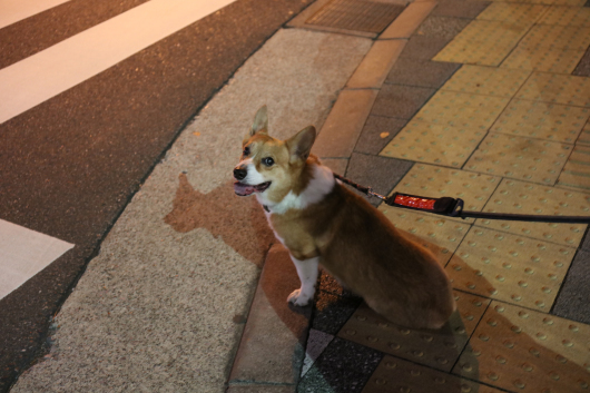 b0310424_13121439.jpg