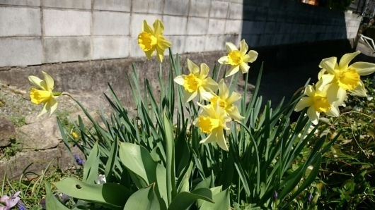 e0263224_11261957.jpg