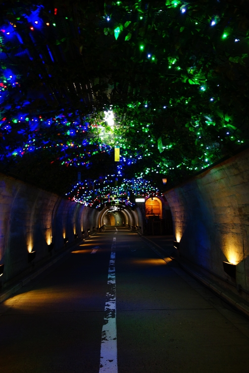 駆け足で巡る栃木県～茨城県 その3～袋田の滝_a0287336_2113234.jpg