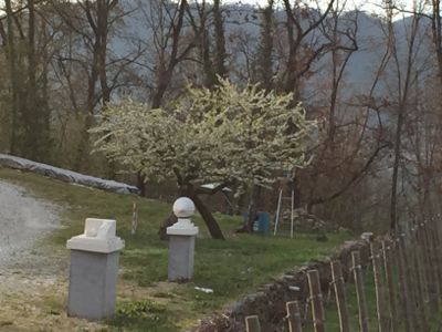 d0136540_03561956.jpg