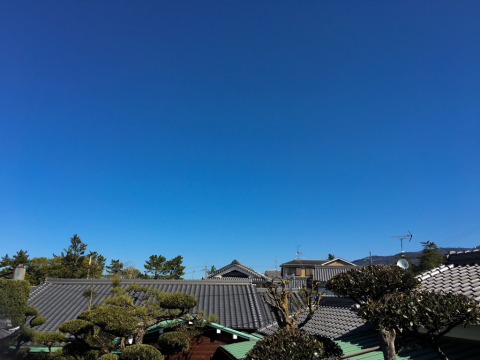 e0046950_10130257.jpg