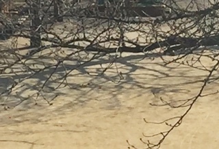 b0181457_11305985.jpg