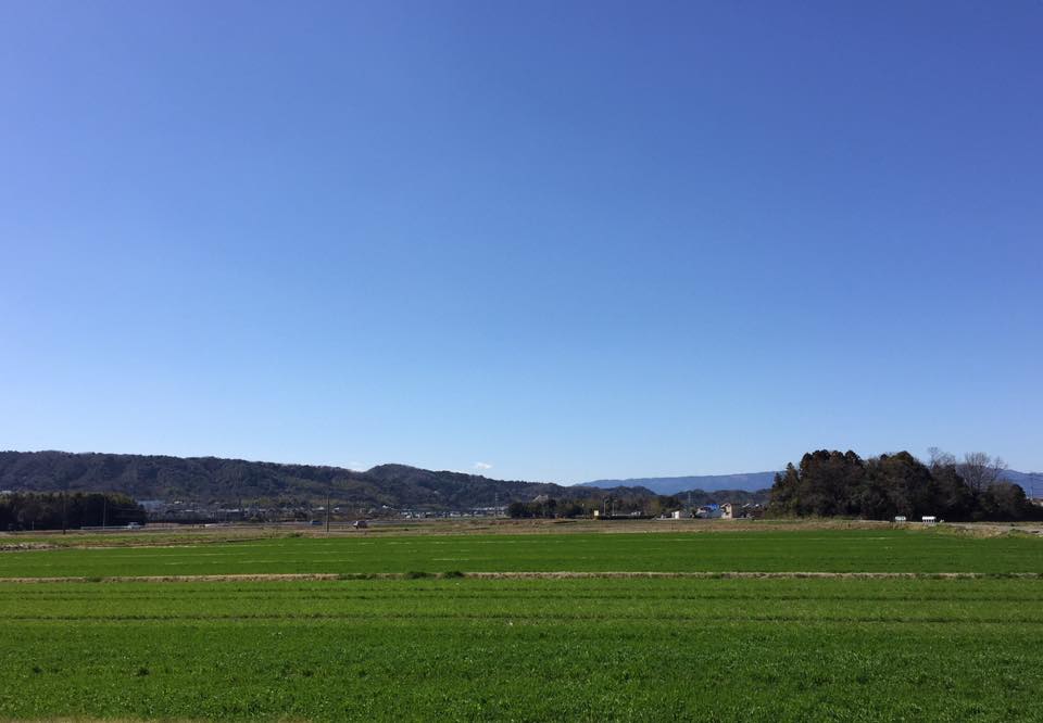 c0115560_1001757.jpg