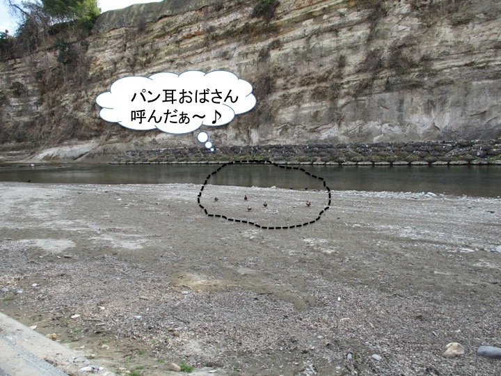 学習したカモ?_c0260460_16291996.jpg