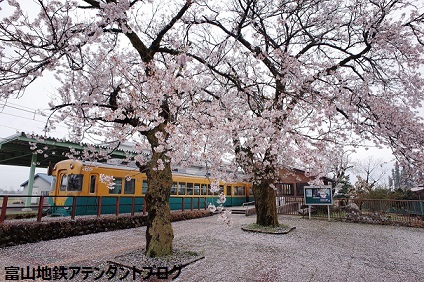 2016年、地鉄のフラワー情報_a0243562_14092703.jpg