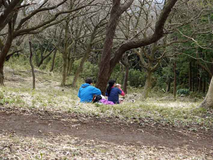 六国見山夫婦桜六分咲き、見ごろは今週末か3・21_c0014967_14172613.jpg