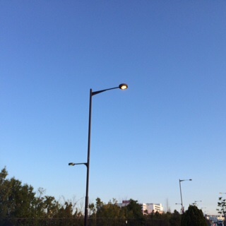 c0206177_16331811.jpg