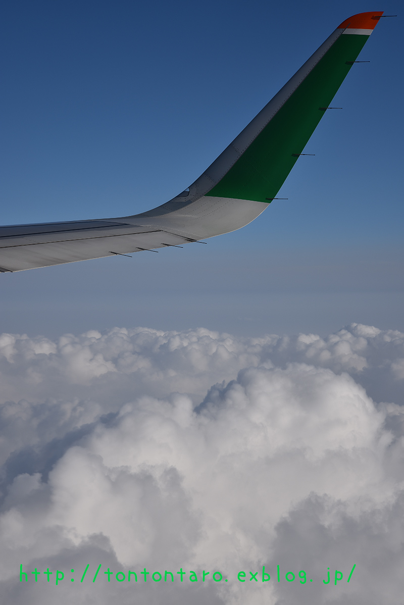 a0112888_017382.jpg