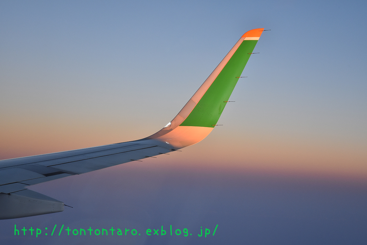 a0112888_0415817.jpg