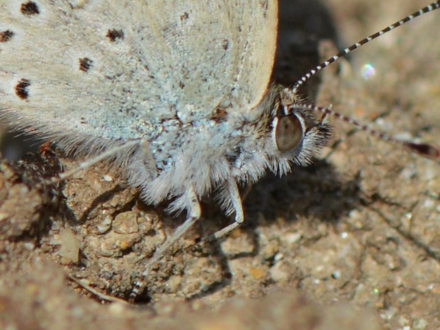 f0310988_22112928.jpg
