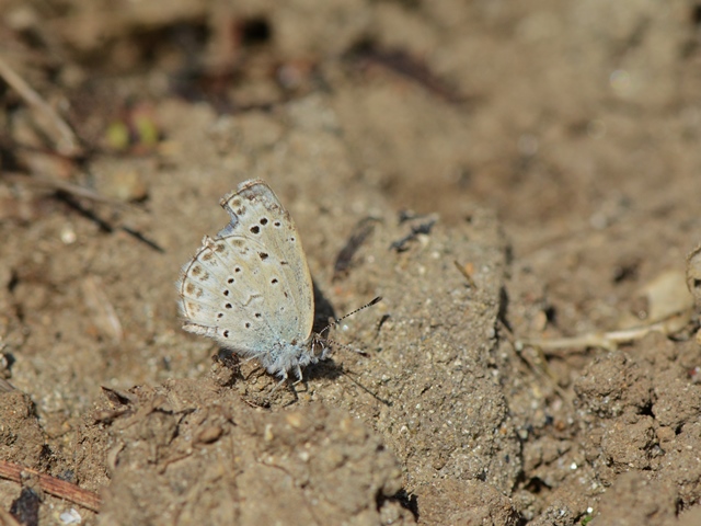 f0310988_2283689.jpg