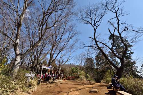 景信山～高尾山縦走②景信山登頂、もみじ台まで_e0241691_21483172.jpg