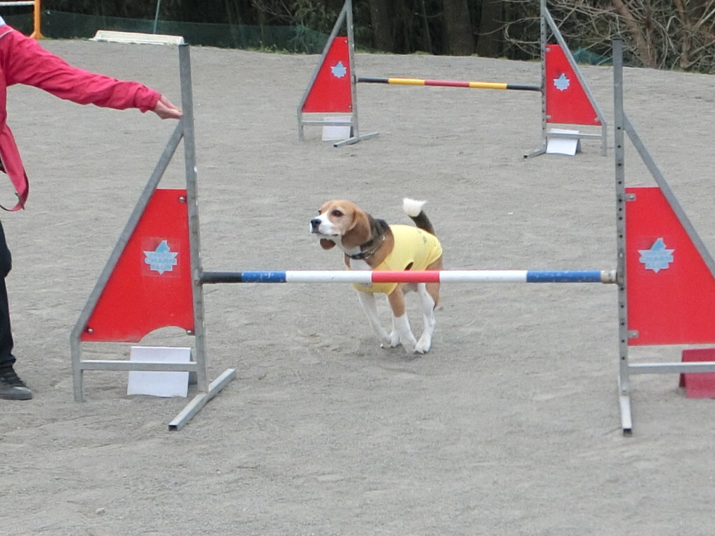 a0319693_8342349.jpg