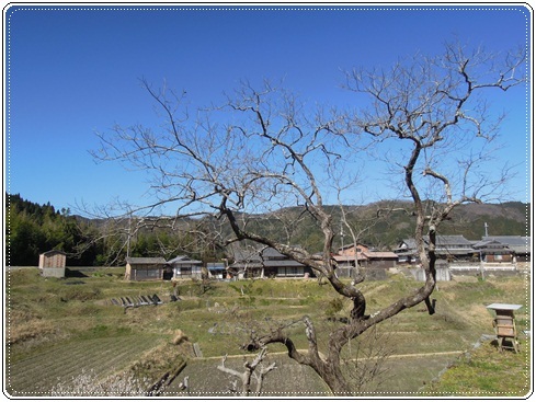 c0149408_10292210.jpg