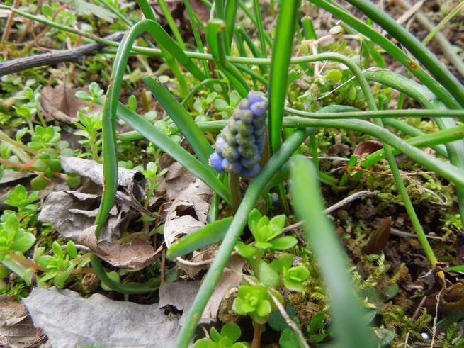 f0297809_112013.jpg
