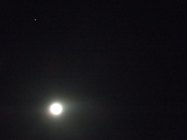 f0297809_1212550.jpg