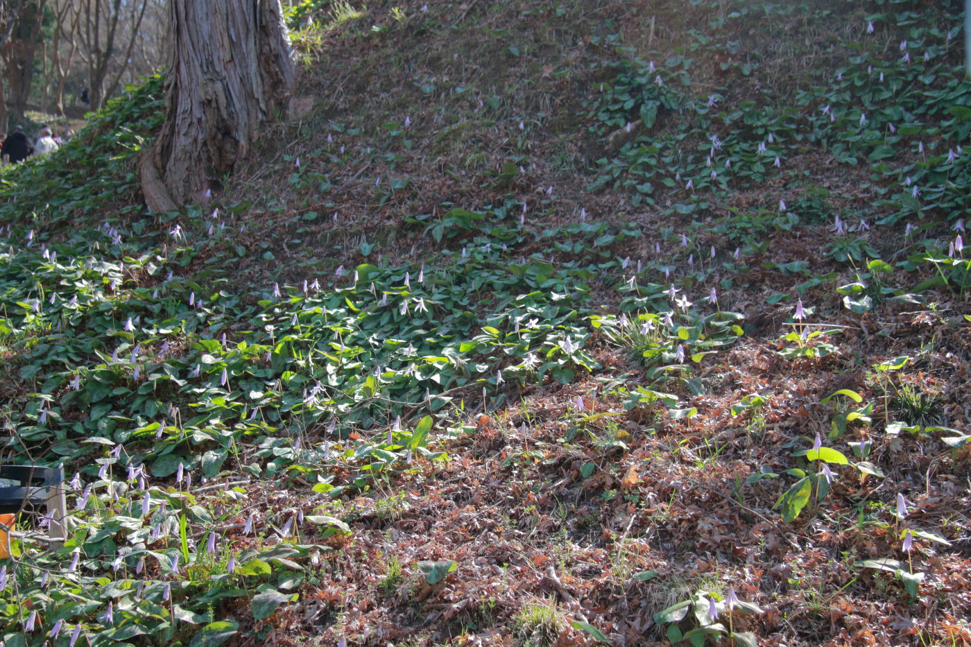 f0349409_17500269.jpg