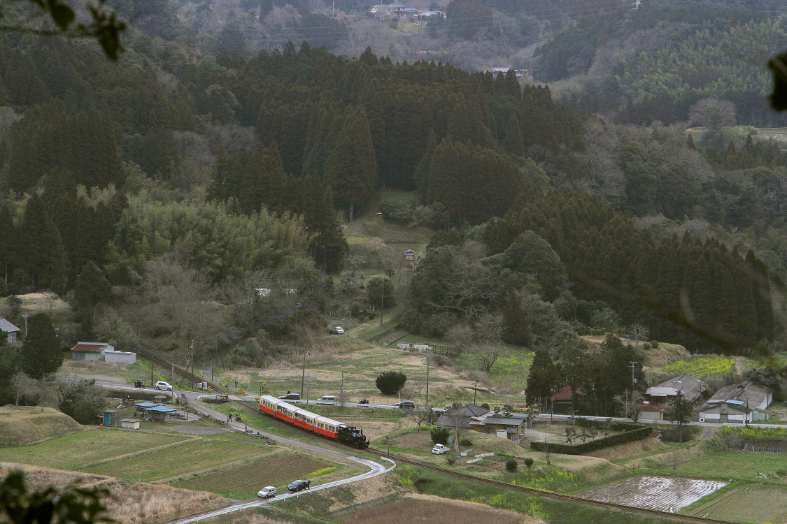 里山トロッコ - 2016年・小湊鐵道 - _b0190710_2354564.jpg