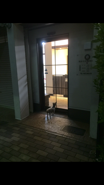 f0085810_2249537.png