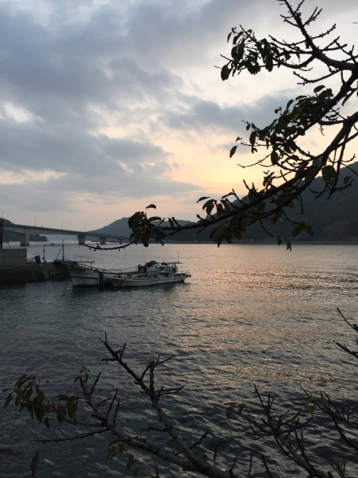 f0218012_06571285.jpg