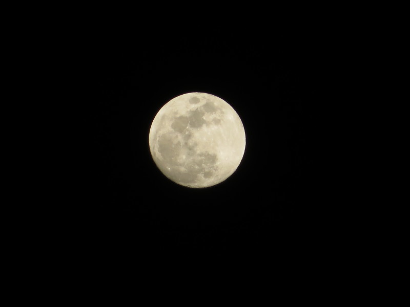 d0351213_20122336.jpg