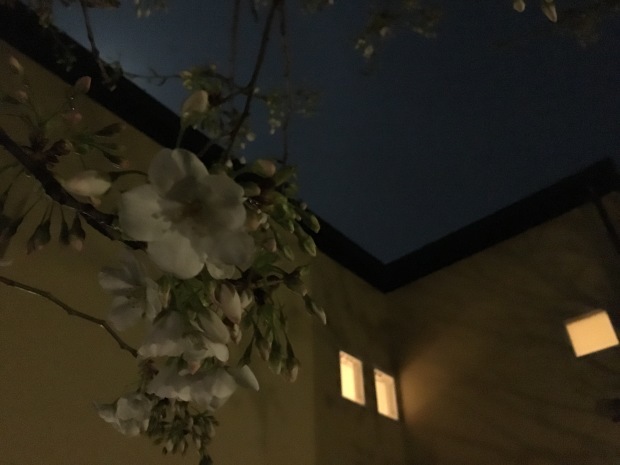 e0172219_23182066.jpeg
