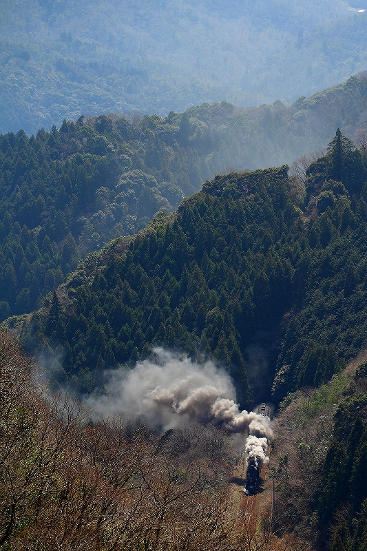 2016年　ＳＬやまぐち号ファーストラン_f0233120_21135095.jpg