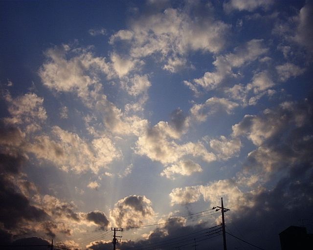 a0136725_191389.jpg