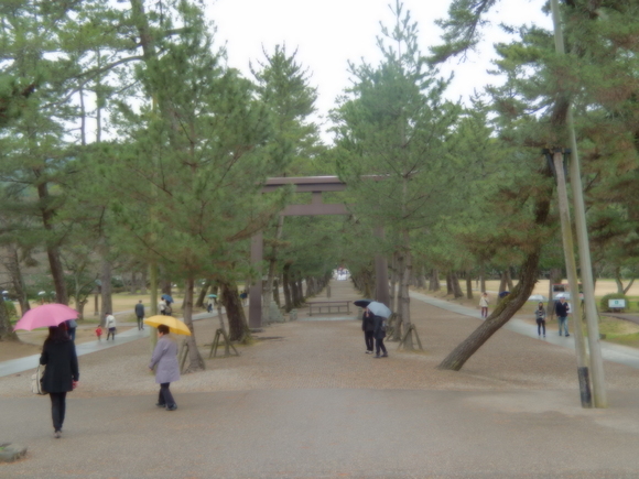 神さまの国出雲への旅　２　出雲大社_a0226627_134246.jpg