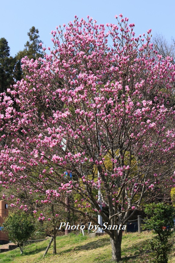 c0201929_7573461.jpg