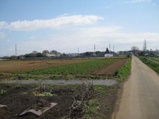c0217931_1451580.jpg